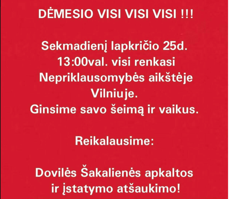 JK lietuviai kviečiami prisijungti prie mitingo Vilniuje nuotoliniu būdu